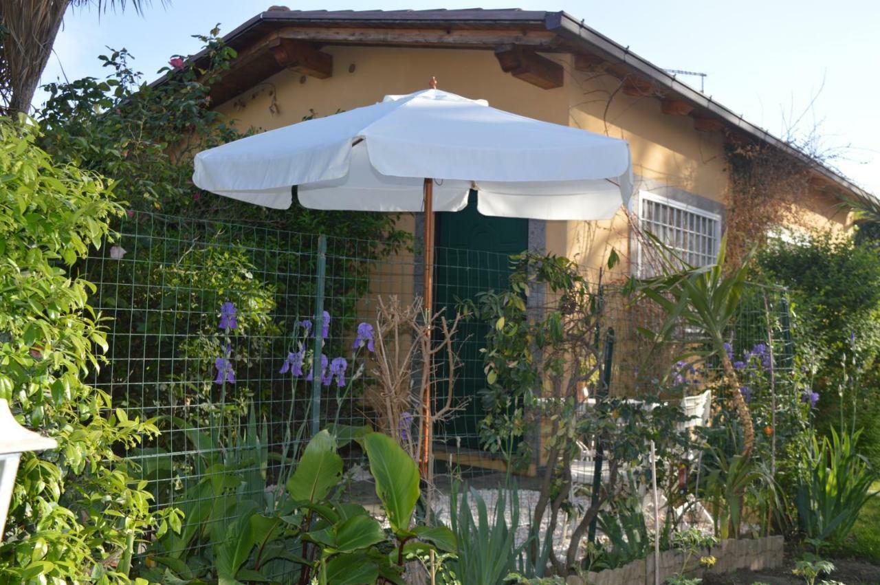 Le Cicale Vila Casal Palocco Exterior foto